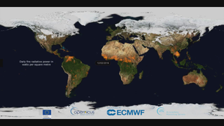 Watch Every Fire on Earth This Year in This Blazing Visualization<i></i>